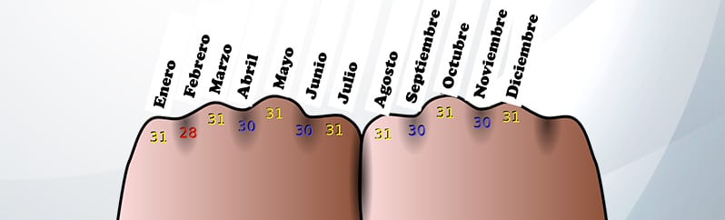 El calendario truco de los nudillos