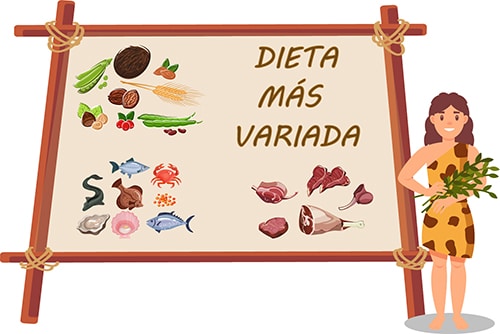 Mesolítico Dieta