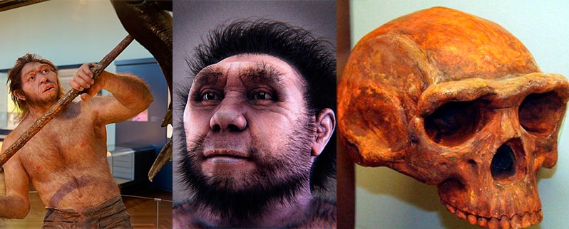 Paleolítico Homo Erectus