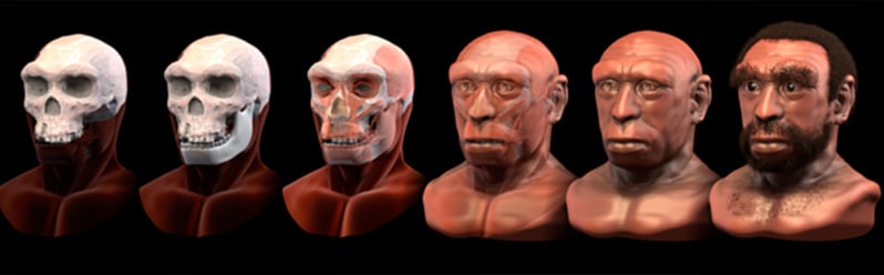 Paleolítico Homo Heidelbergensis