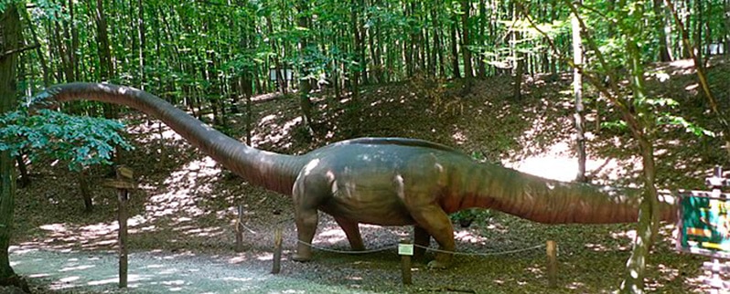 Características de los dinosaurios para primaria para niños
