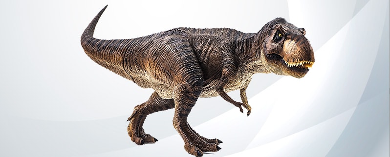 ⭐Los dinosaurios [Todo lo que necesitas saber]