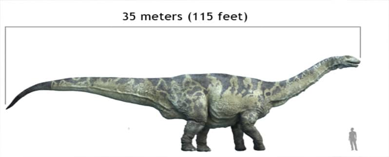 ⊛ ¿Qué comían los dinosaurios? ⊛ ¿Qué comían los dinosaurios?