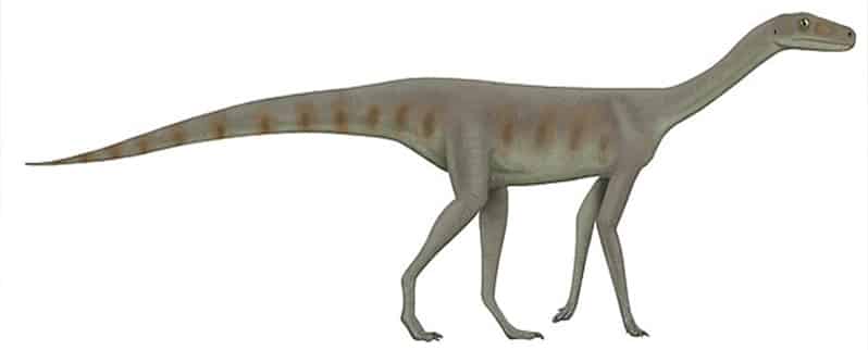 Asilisaurus Kongwe