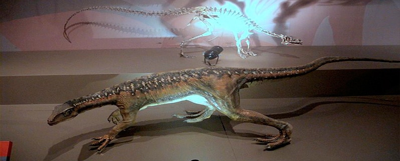 Dinosaurio Eoraptor