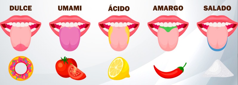 Los cinco sentidos gusto