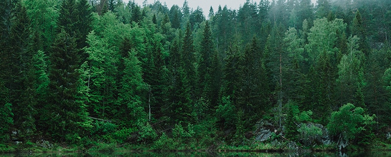Los recursos naturales no renovables