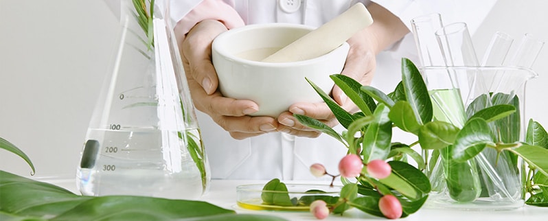 Los recursos naturales para niños