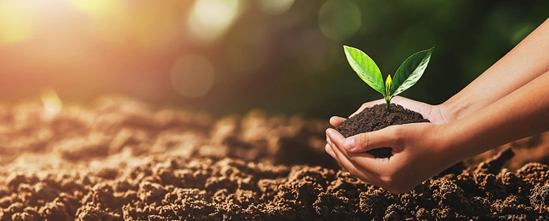 Los recursos naturales renovables