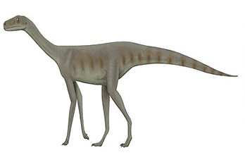 ➤ ¿Cuál fue el primer dinosaurio? ➤ ¿Cuál fue el primer dinosaurio?