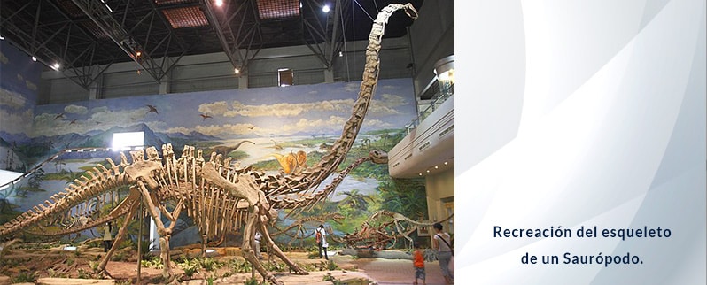 Sauropodo