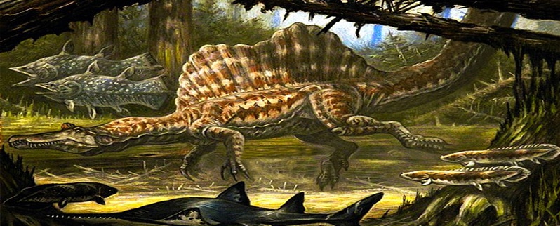 ⊛ ¿Qué comían los dinosaurios? ⊛ ¿Qué comían los dinosaurios?