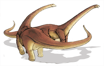 ◁ Dinosaurios de cuello largo ◁ Dinosaurios de cuello largo
