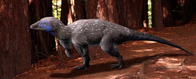Dinosaurio Kulindadromeus