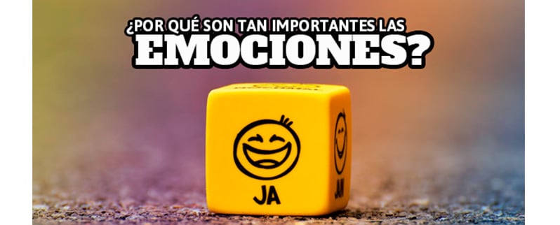 Importancia Emociones