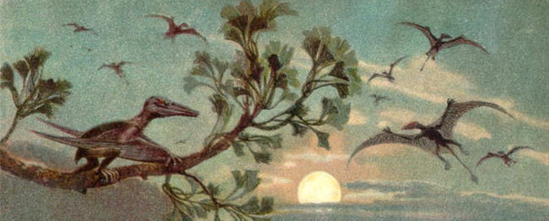 Aves dinosaurios