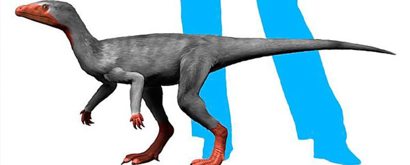 Tipos de dinosaurios y sus nombres por especies Tipos de dinosaurios y sus nombres por especies