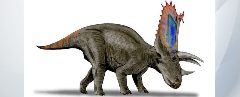 Tipos de dinosaurios y sus nombres por especies Tipos de dinosaurios y sus nombres por especies