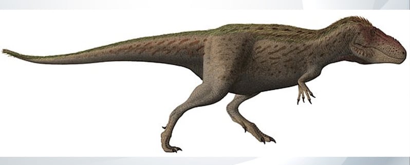 Tipos de dinosaurios y sus nombres por especies Tipos de dinosaurios y sus nombres por especies
