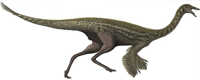 Tipos de dinosaurios y sus nombres por especies Tipos de dinosaurios y sus nombres por especies