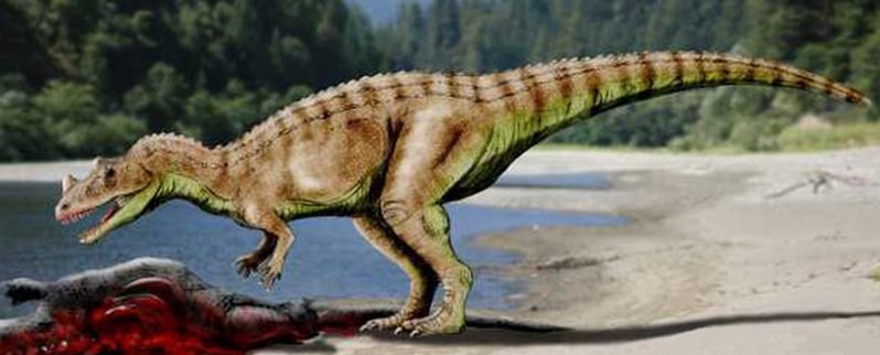 Tipos de dinosaurios y sus nombres por especies Tipos de dinosaurios y sus nombres por especies