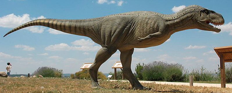 Tipos de dinosaurios y sus nombres por especies Tipos de dinosaurios y sus nombres por especies