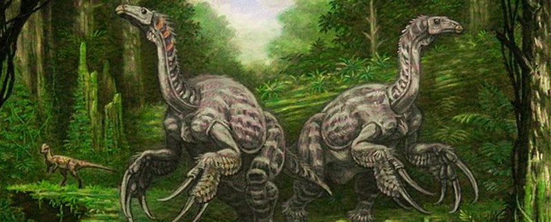 Tipos de dinosaurios y sus nombres por especies Tipos de dinosaurios y sus nombres por especies