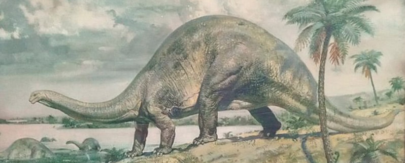Tipos de dinosaurios y sus nombres por especies Tipos de dinosaurios y sus nombres por especies