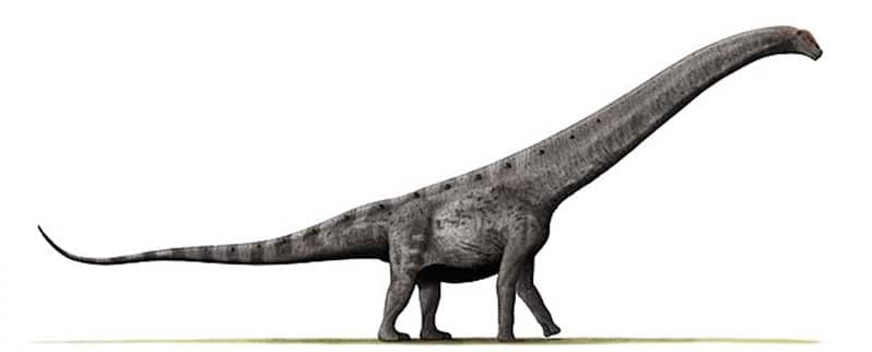 Los nombres de los dinosaurios
