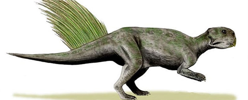 Tipos de dinosaurios y sus nombres por especies Tipos de dinosaurios y sus nombres por especies