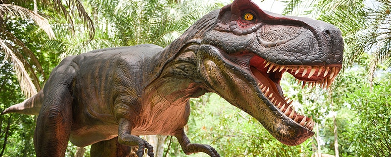 Tipos de dinosaurios y sus nombres por especies Tipos de dinosaurios y sus nombres por especies