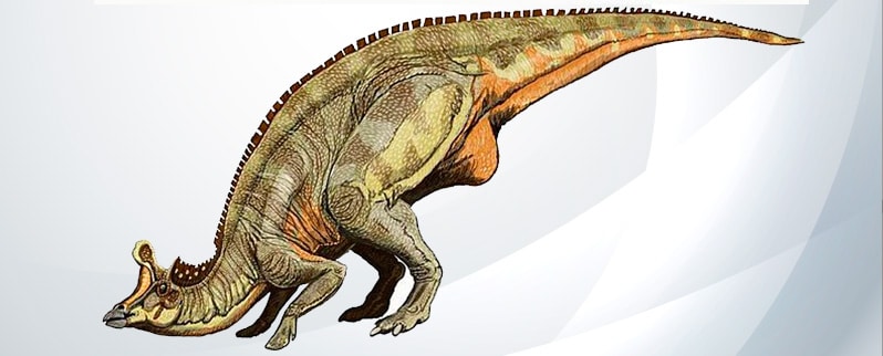 Top 152+ Tipos de dinosaurios nombres e imagenes Top 152+ Tipos de dinosaurios nombres e imagenes