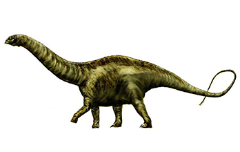 Apatosaurus