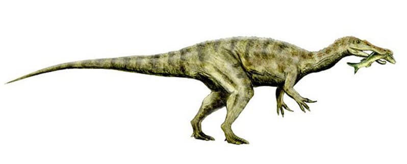 Baryonyx