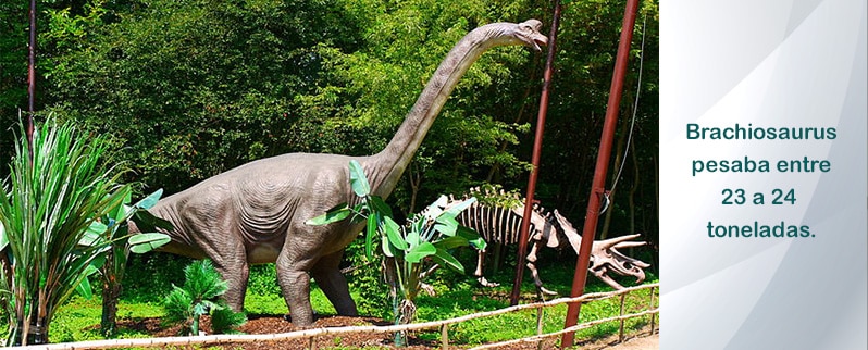 Brachiosaurus Peso