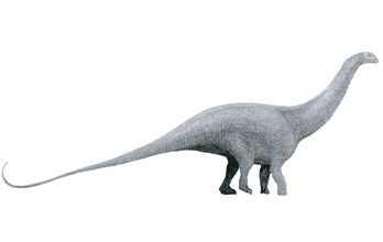 Brontosaurus