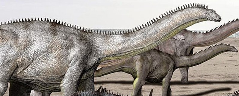 Brontosaurus