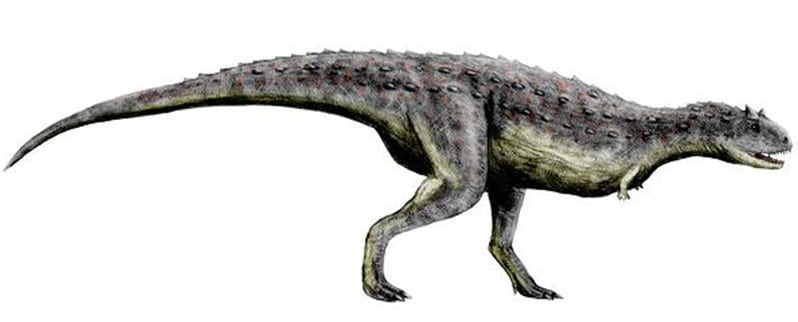 ⭐ Carnotaurus ⭐ Carnotaurus