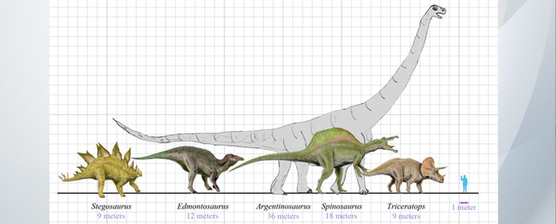 Clasificación de dinosaurios por alimentación, naturaleza y tamaño Clasificación de dinosaurios por alimentación, naturaleza y tamaño