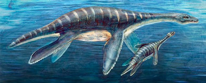 Clasificación de dinosaurios según su tamaño