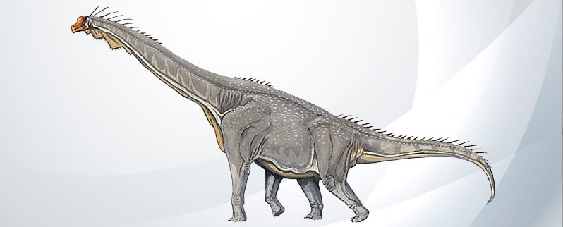 Clasificación de dinosaurios por alimentación, naturaleza y tamaño Clasificación de dinosaurios por alimentación, naturaleza y tamaño