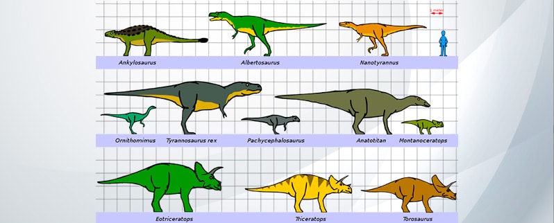 Clasificación de los dinosaurios según su tamaño