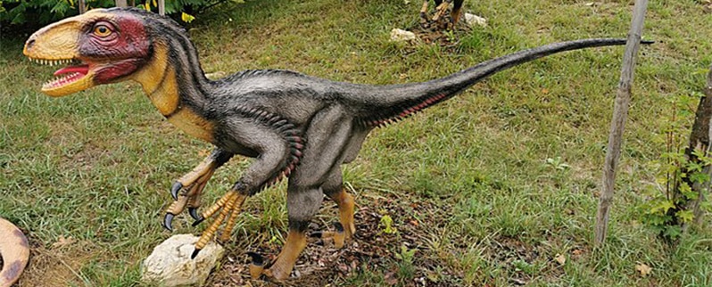 Deinonychus