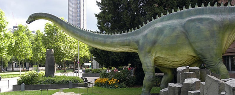 Diplodocus Longus
