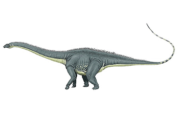Diplodocus