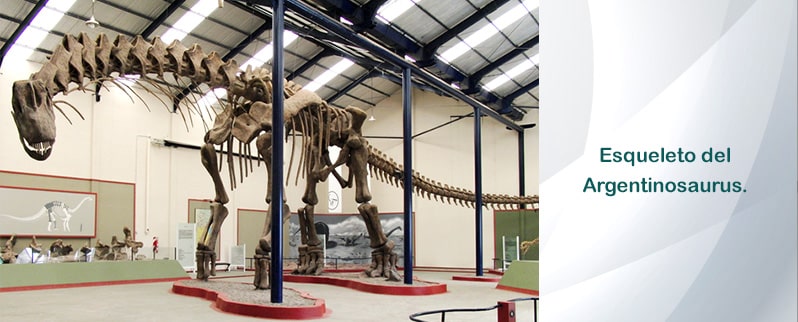Esqueleto Argentinosaurus
