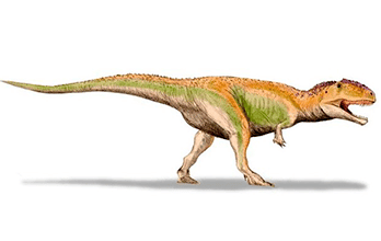 Giganotosaurus