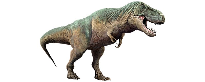Gran Tyrannosaurus Rex