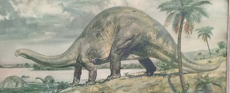 Hábitat Brontosaurus
