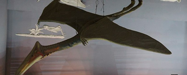 La clasificación de dinosaurios según su naturaleza
